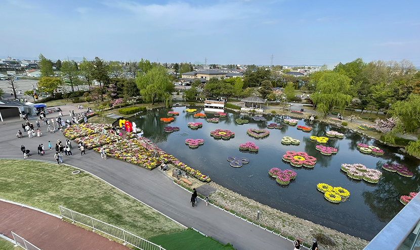 ひょうたん池の水上花壇。第70回チューリップフェア、網戸快適ネットからの景色。よく見える網戸快適ネット張り替えなら三恵ネット。