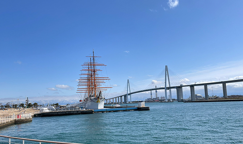 新湊大橋と海王丸。網戸(快適ネット)からの景色、海王丸パークと新湊大橋。よく見える網戸快適ネット張り替えなら三恵ネット。