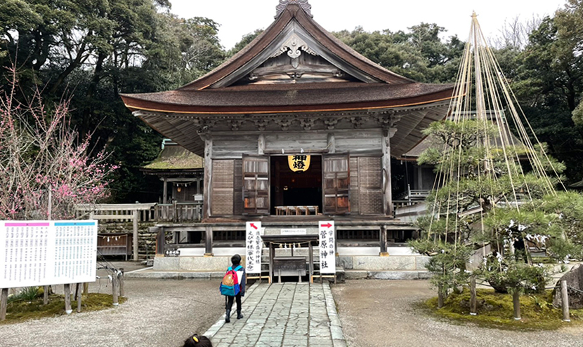 気多大社「入らずの森」のお守り購入。網戸(快適ネット)の景色。よく見える網戸快適ネット張り替えなら三恵ネット。