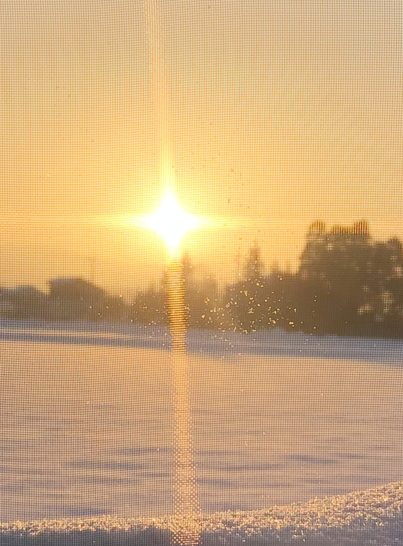 雪に映える朝日とスッキリ見える網戸。細かい網目なので水滴も見える。スッキリ見える快適ネットなら三恵ネット。