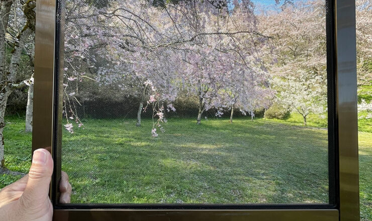 小矢部城山公園の桜、網戸快適ネットからの景色。よく見える網戸快適ネット張り替えなら三恵ネット。