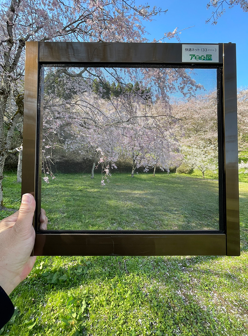 小矢部城山公園の桜、網戸快適ネットからの景色。よく見える網戸快適ネット張り替えなら三恵ネット。