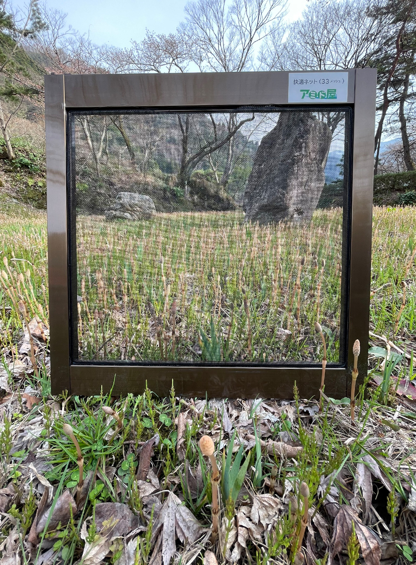 庄川水記念公園の桜 網戸快適ネットからの景色 株式会社三恵ネット