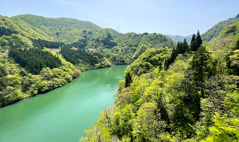 新緑がきれい利賀大橋、網戸快適ネットからの景色。よく見える網戸快適ネット張り替えなら三恵ネット。