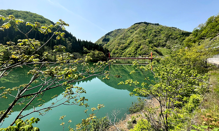 祖山ダム湖に架かる大渡橋、網戸快適ネットからの景色。よく見える網戸快適ネット張り替えなら三恵ネット。